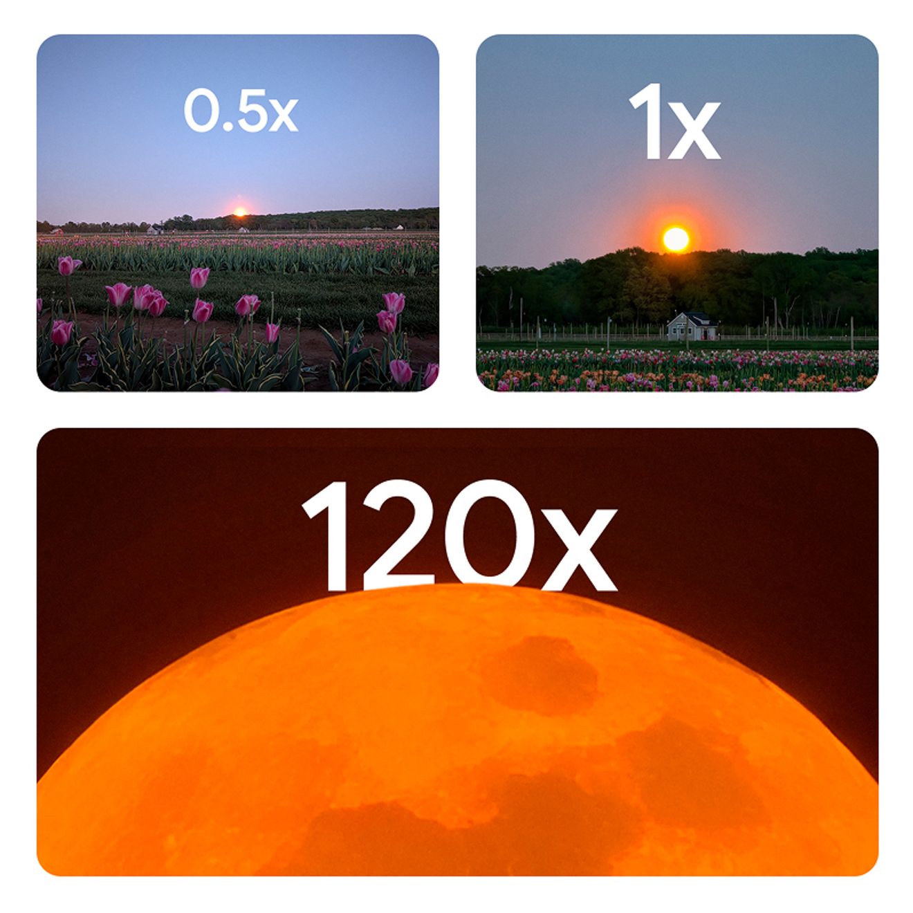 Three images of the sun setting below a line of trees with a farm and flowers in the foreground. The first image is 0.5X zoom showing the sun setting in the sky. The second image is 1.0X zoom showing the farm and sun larger. The third image is 120X showing the sun’s surface.  