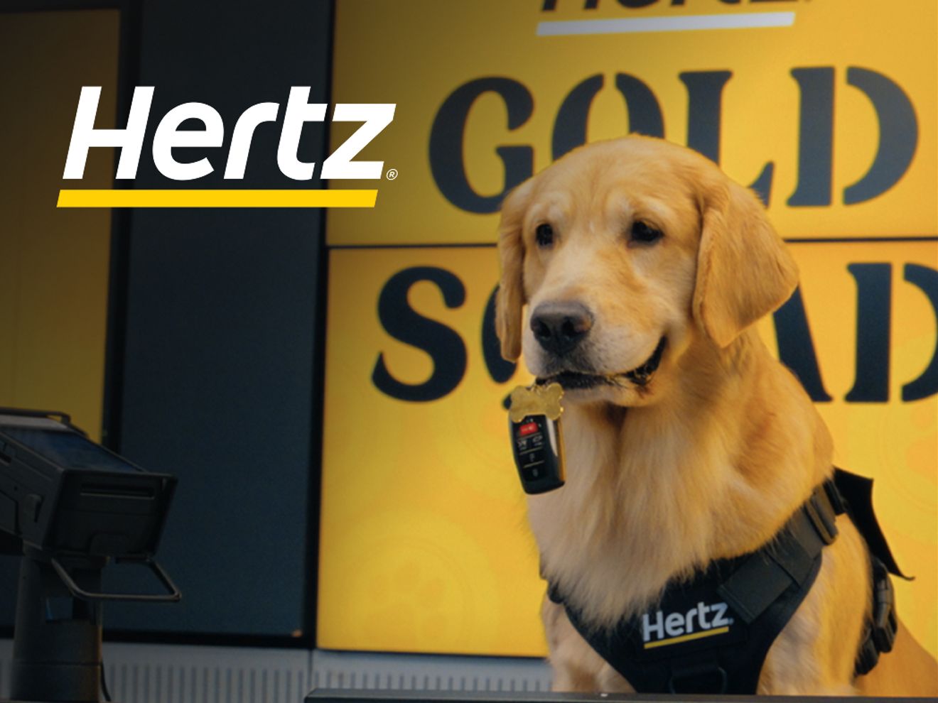 Golden retriever with car keys in his mouth sits near luggage at airport. A Hertz sign behind him says “Gold Squad."