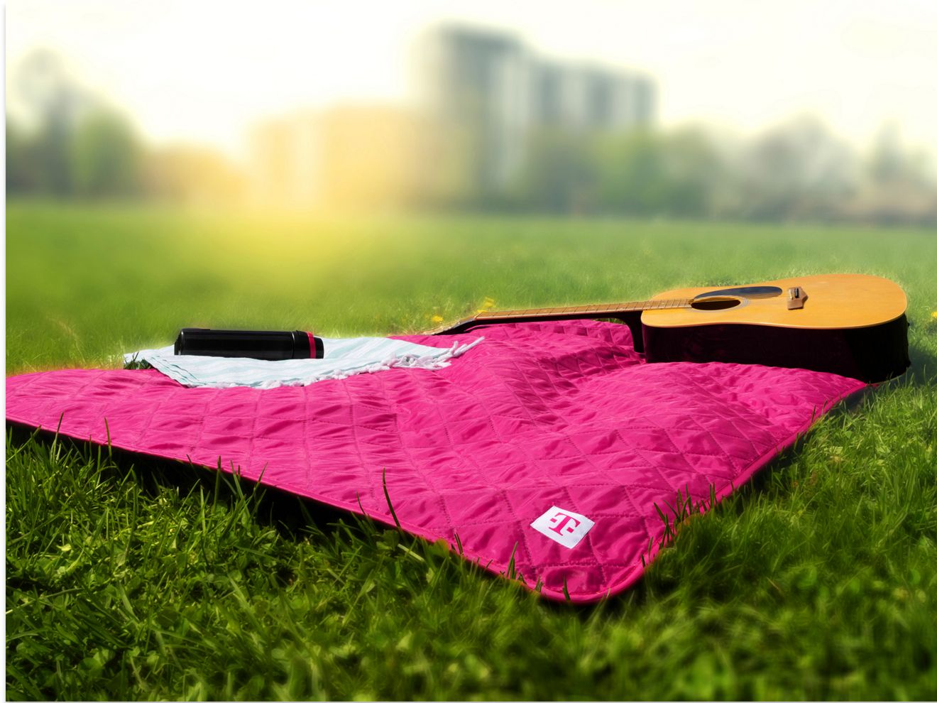 ​​Magenta outdoor blanket with T-Mobile logo is spread out in a park with sunset and cityscape in the distance.​ 