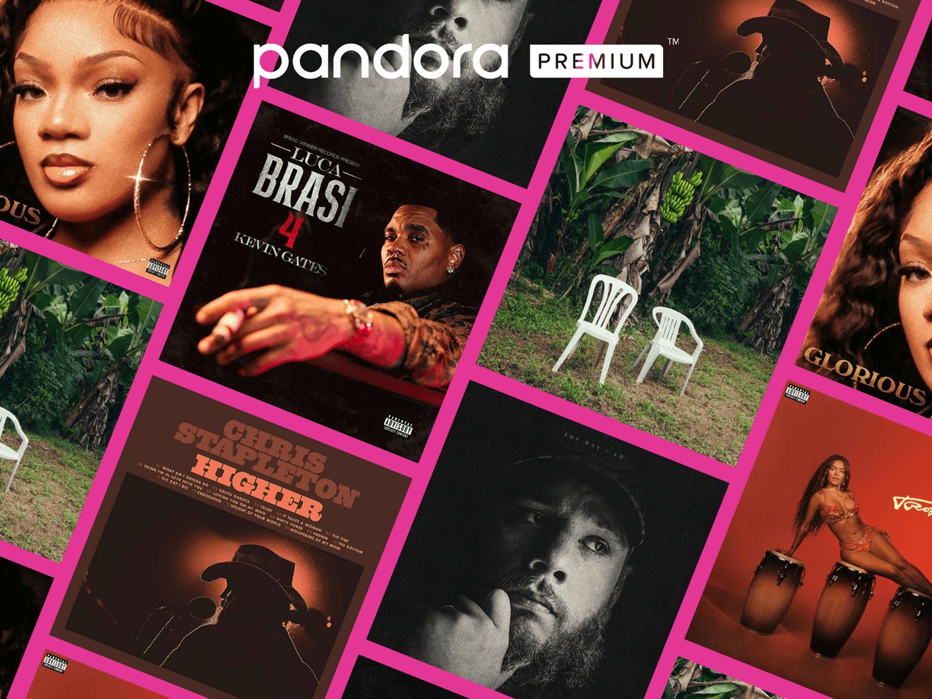 Pandora Premium Image
