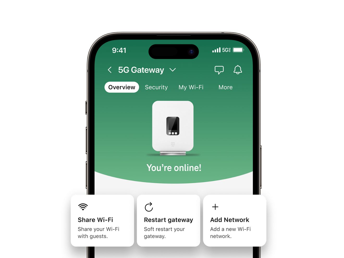Home internet settings displayed on a smartphone screen.