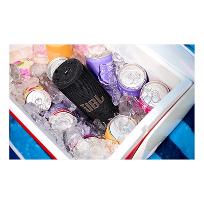 JBL-JBL Grip-slide-2