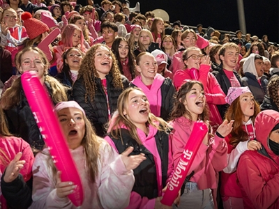 A group of students wearing magenta cheer from the stands. 