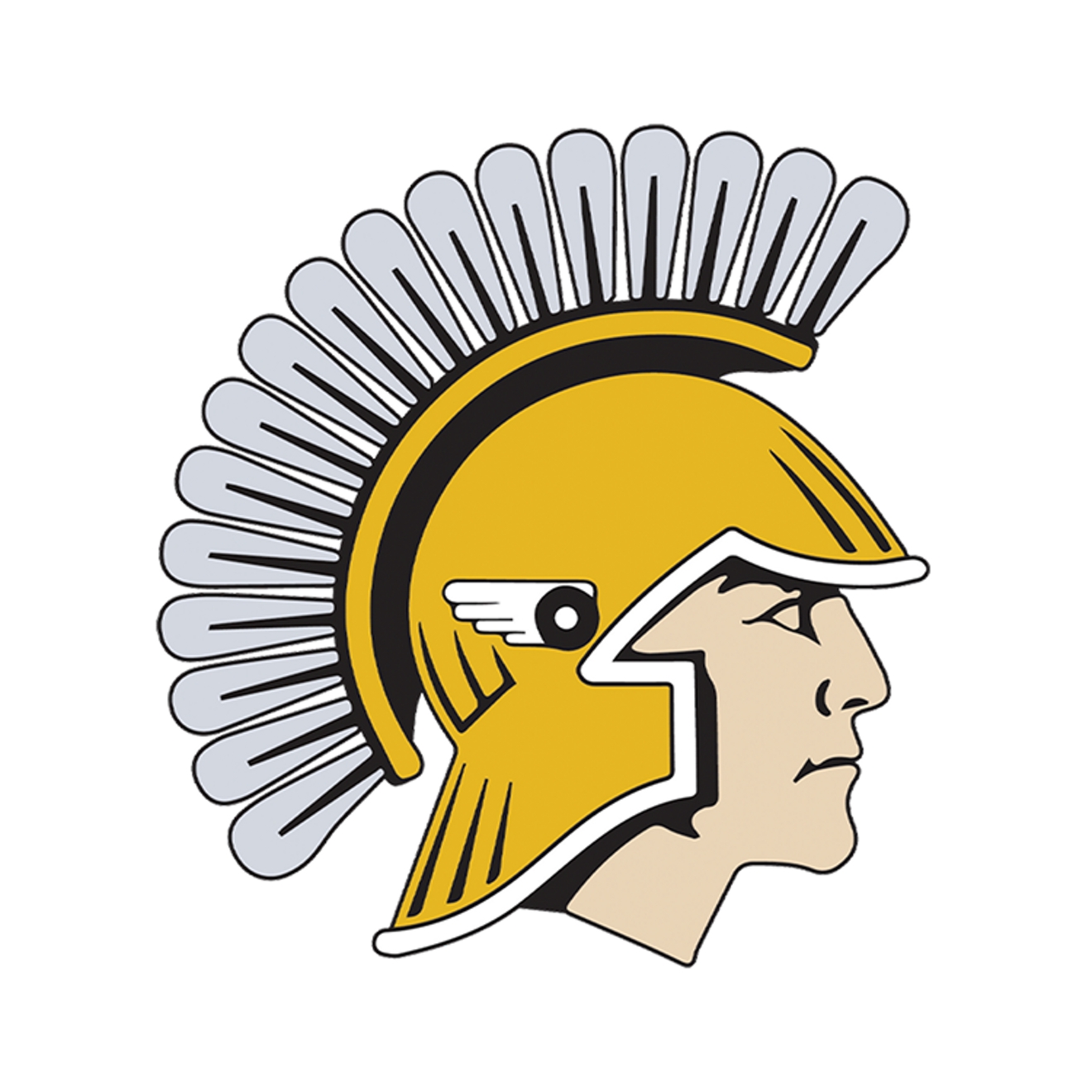 New Auburn High School logo