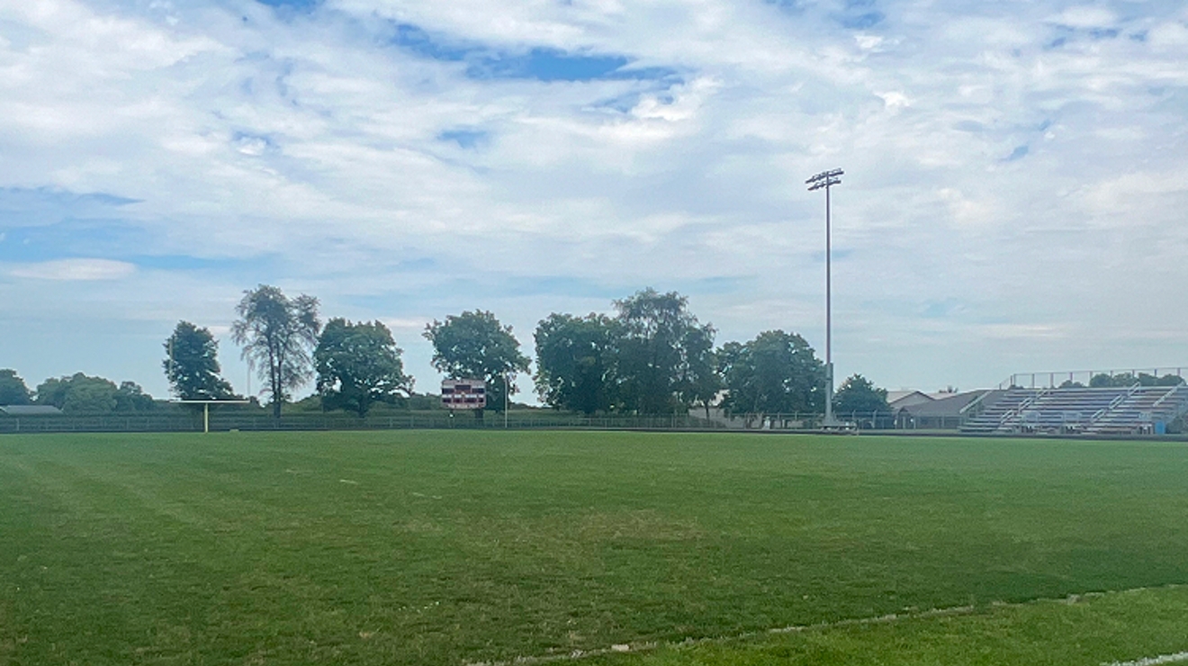 A vibrant green field with a light blue sky.