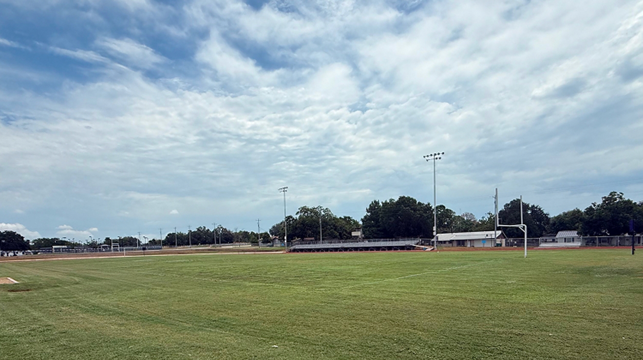 A vibrant green field with a light blue sky in the background.
