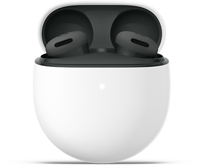 Accessory Name. Google Pixel Buds 2a