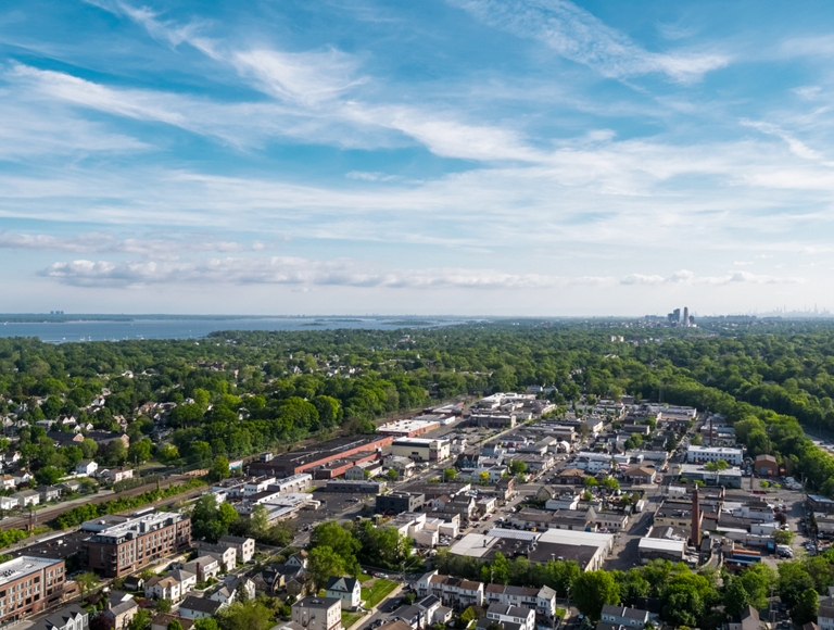 A heavily wooded suburban area extends out toward a city skyline in the distance. 