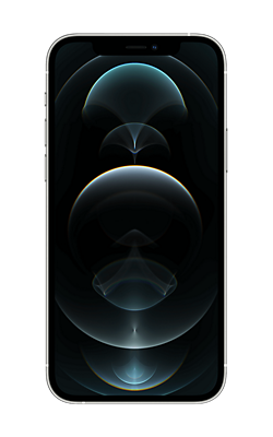 Rear View iPhone 12 Pro Silver, back view, back view-slide-2