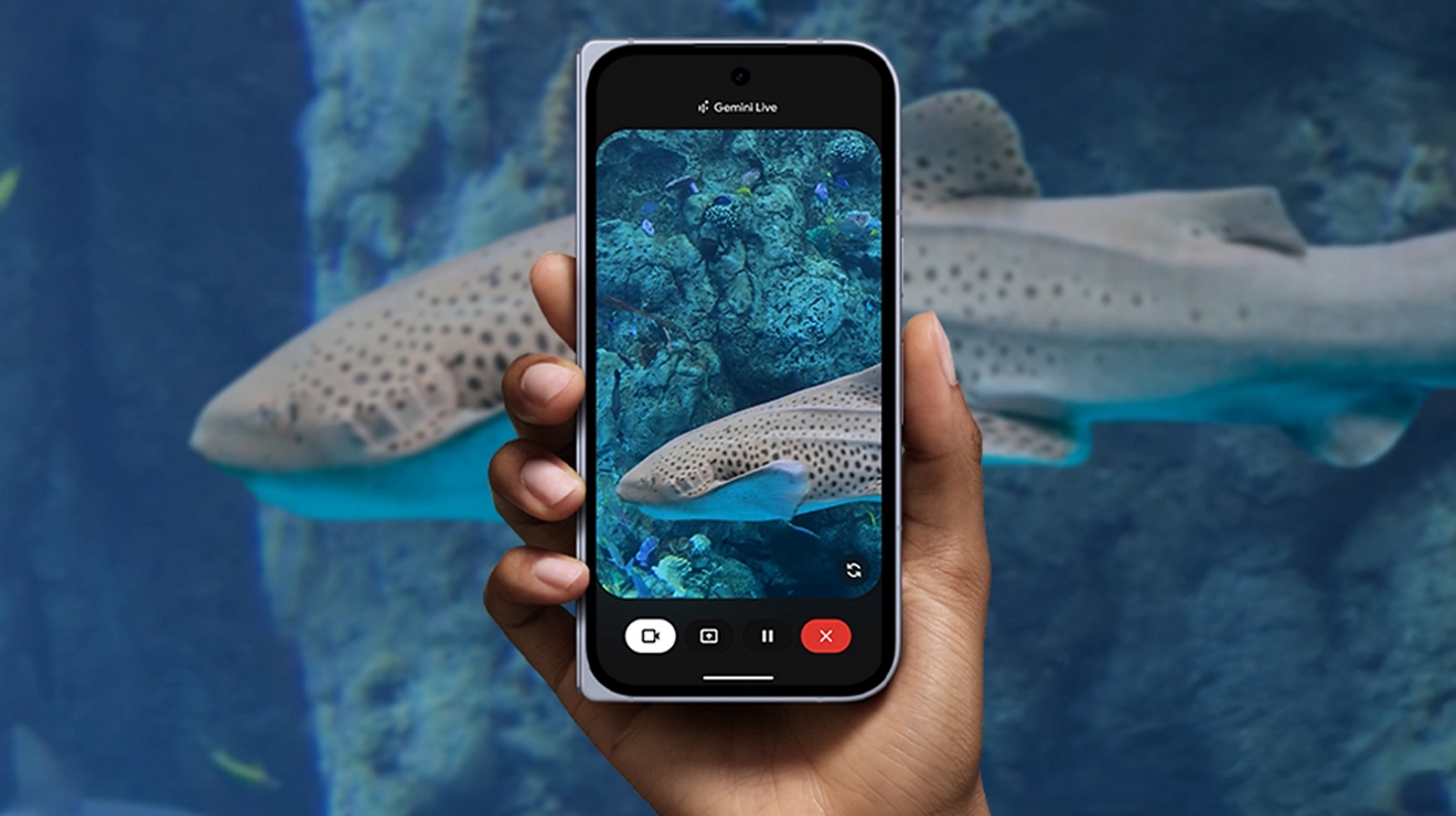Someone pointing the Google Pixel 10 Pro Fold’s camera towards a shark in an aquarium.
