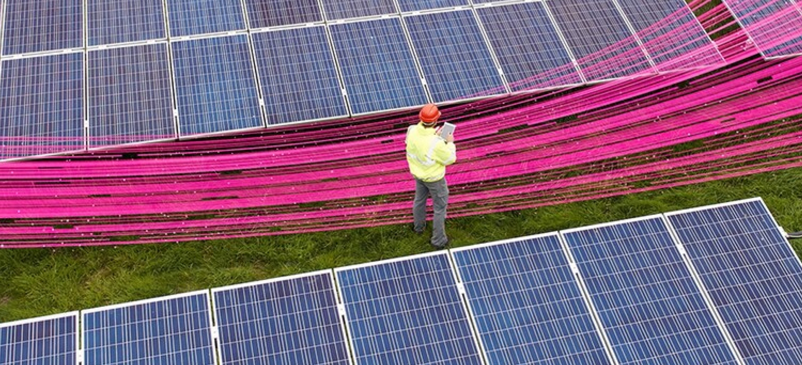 An engineer at a solar farm works on their tablet amidst a magenta swoosh of connectivity.