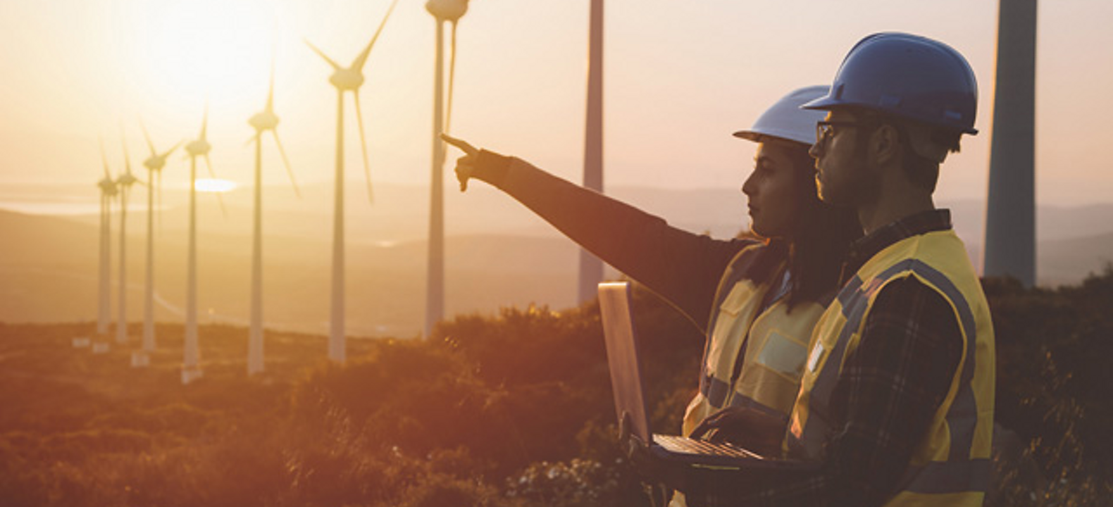 Two men looking out over wind turbine field