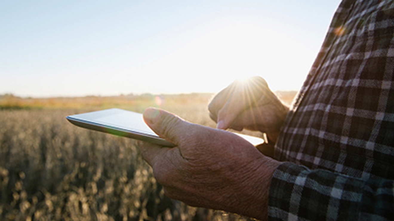 closeup of a farmer holding a tablet in a wheat field