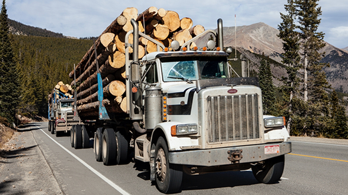 Lumber truck parked on a moutain road