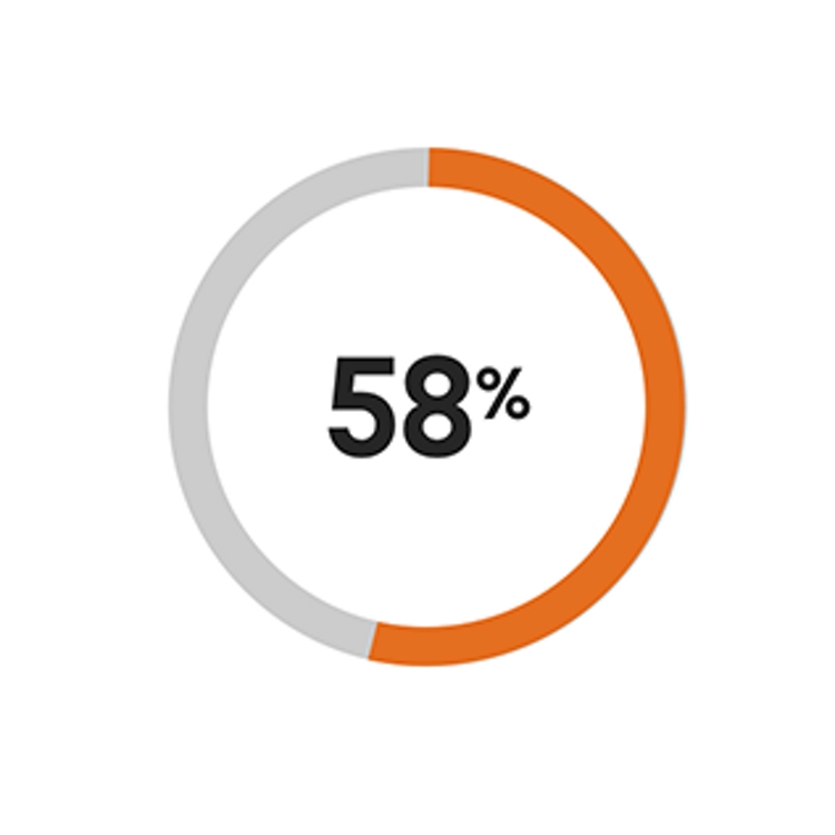 percentage graph 58%