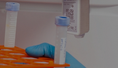 Hand holding test tubes on a tray