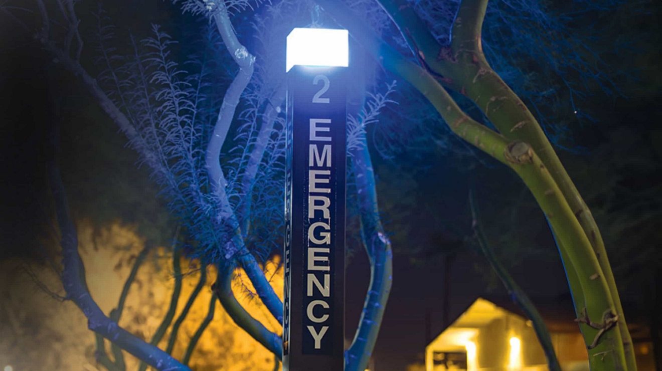 A business executive in a building lobby holds their smartphone as they press an elevator button