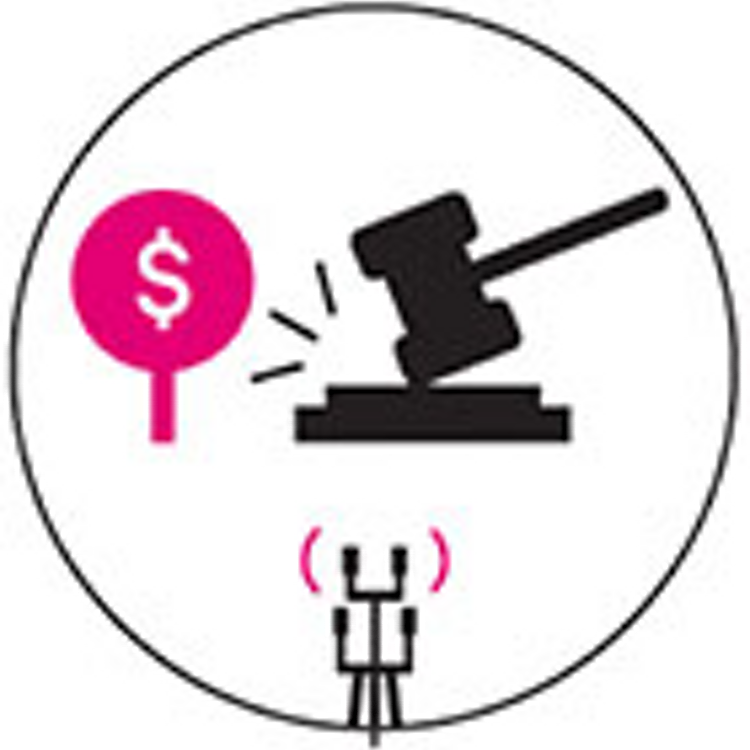 Icon showing action gavel and bidding paddle