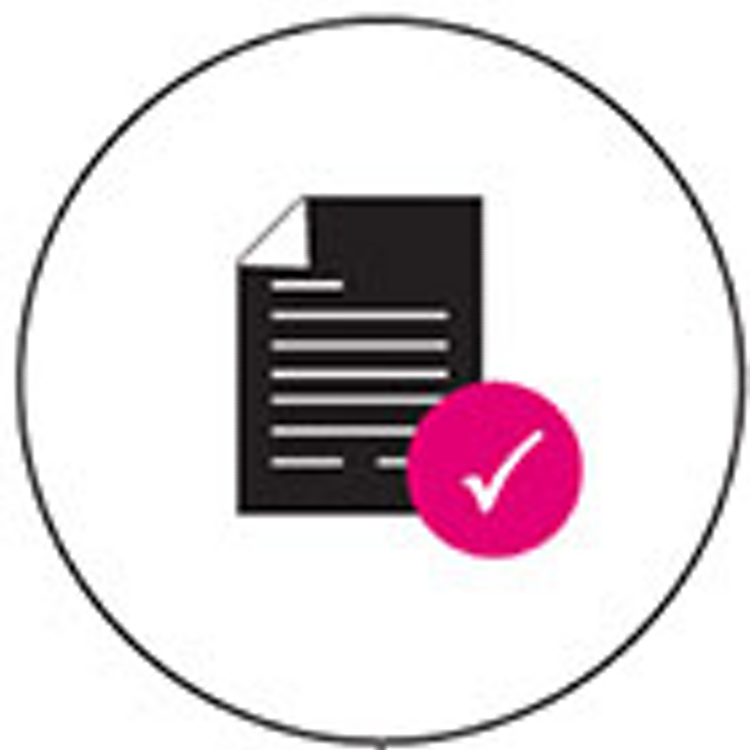 Icon document and checkmark