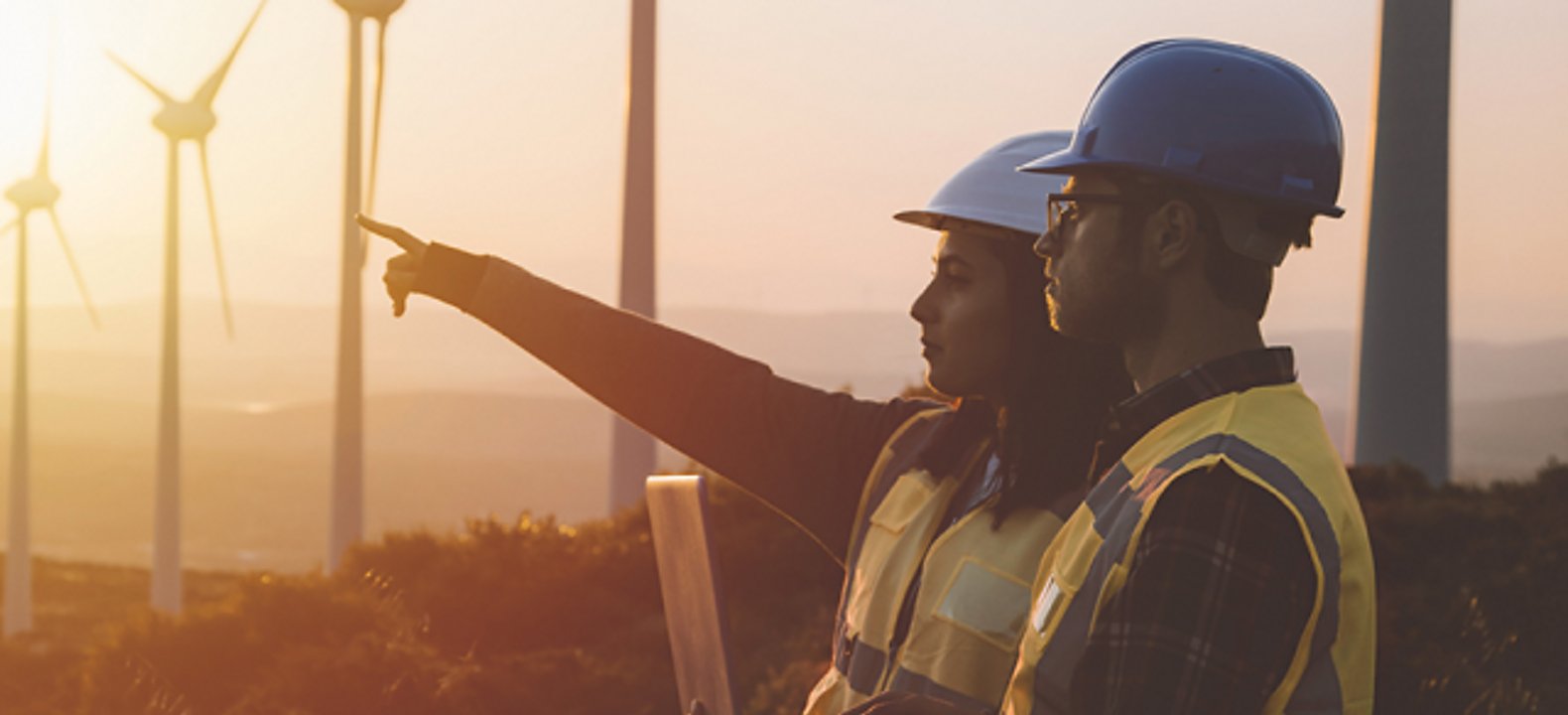 Two workers looking out over wind turbine field