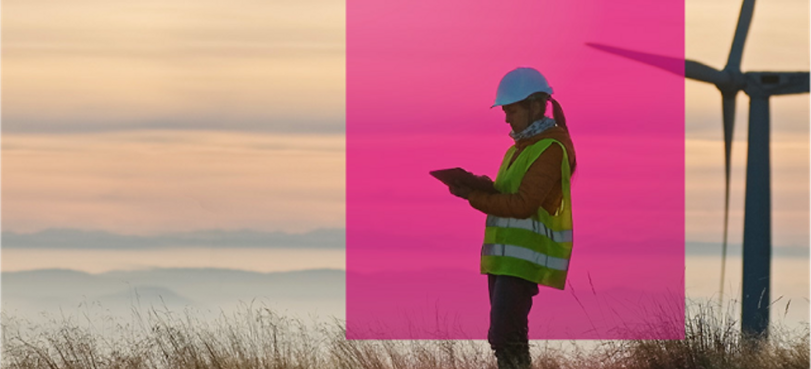 A wind energy engineer checks her tablet on a wind farm at dawn.