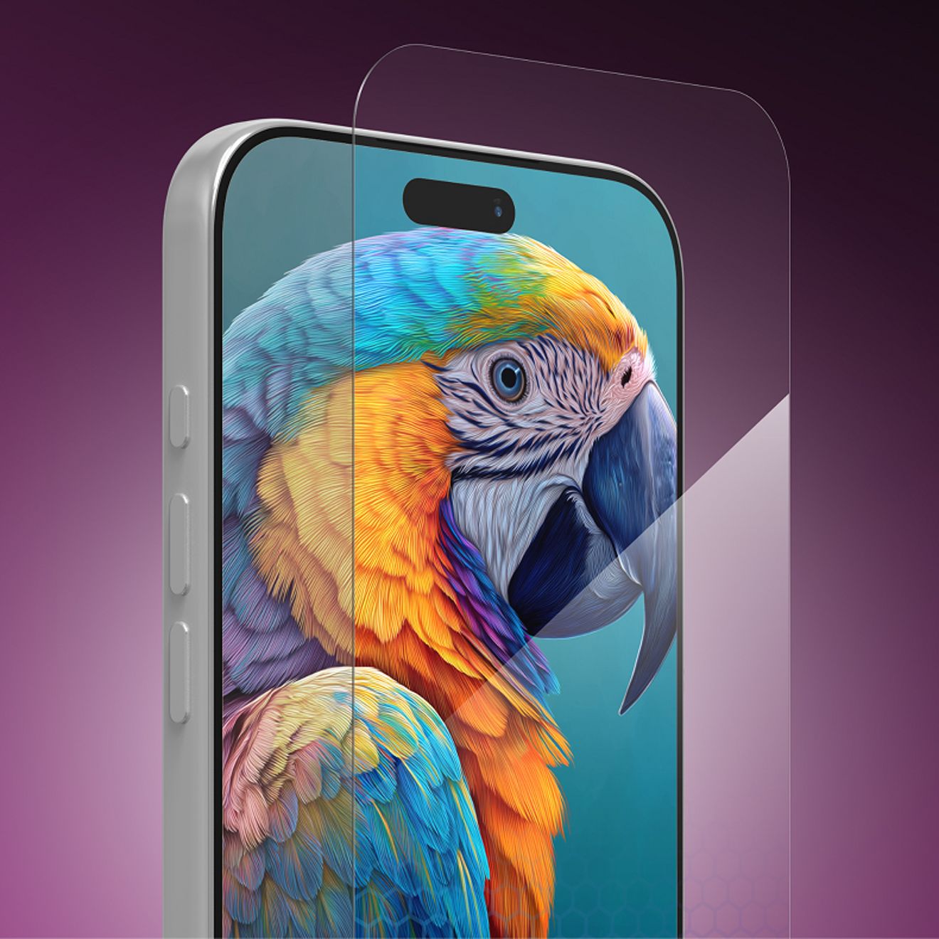 A smartphone displays a vivid image of a colorful parrot with a clear screen protector positioned over the display to demonstrate anti-reflective technology.