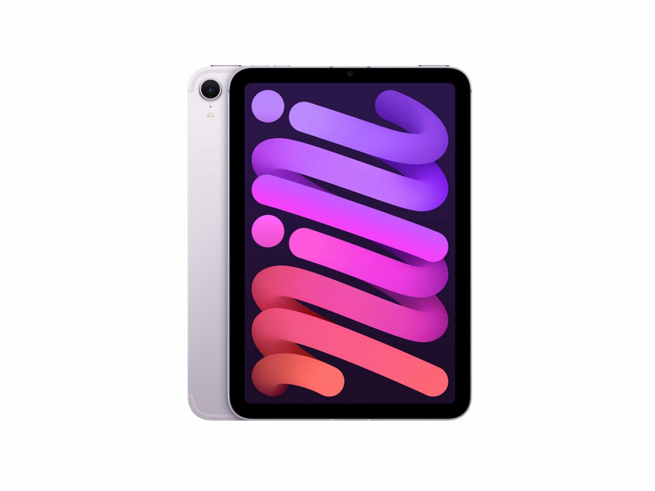 A silver Apple iPad mini shown back and front. 