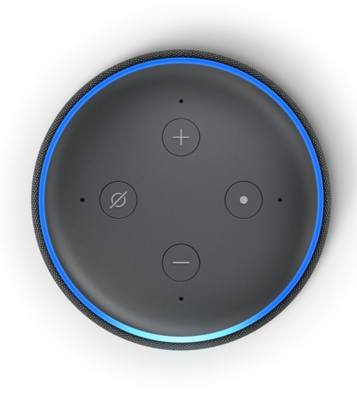 Amazon echo dot with 2024 firestick