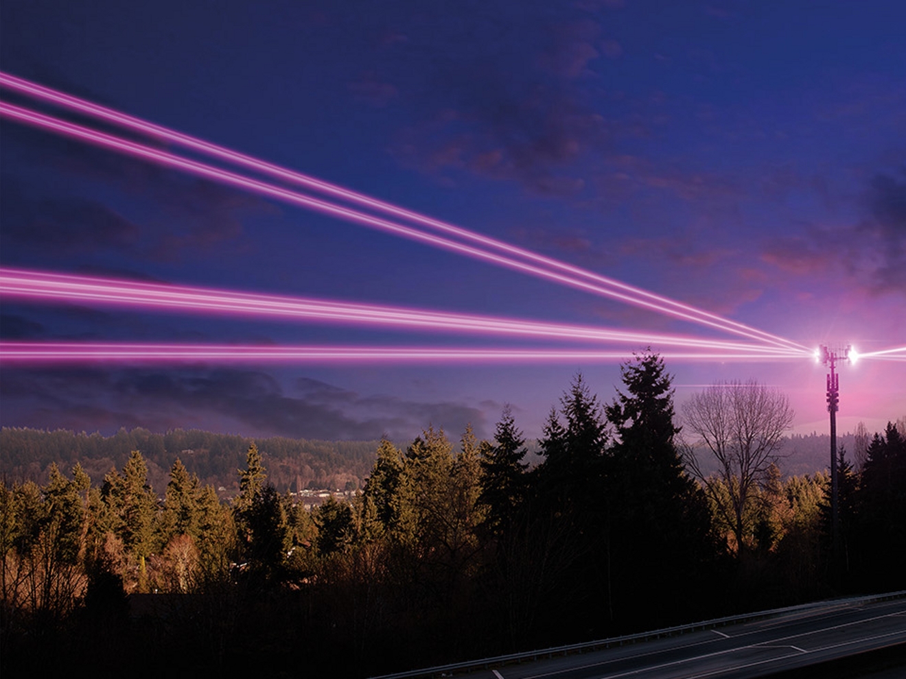 Magenta beams are streaking through a forest.