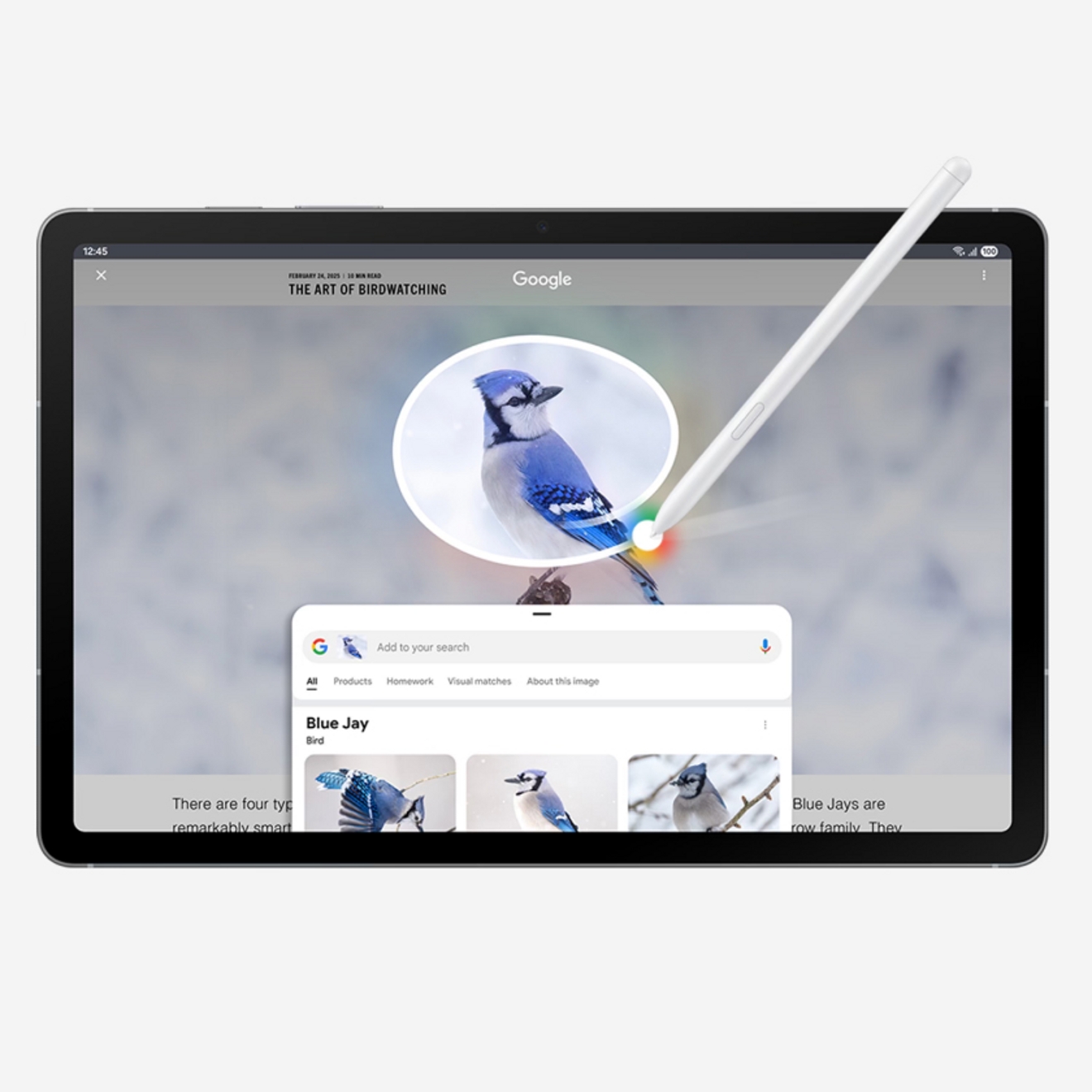 Samsung S10 FE Tablet device showing circle to search being used to identify a bird