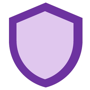 shield icon