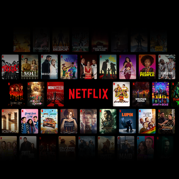 Netflix logo and various show and movie titles.