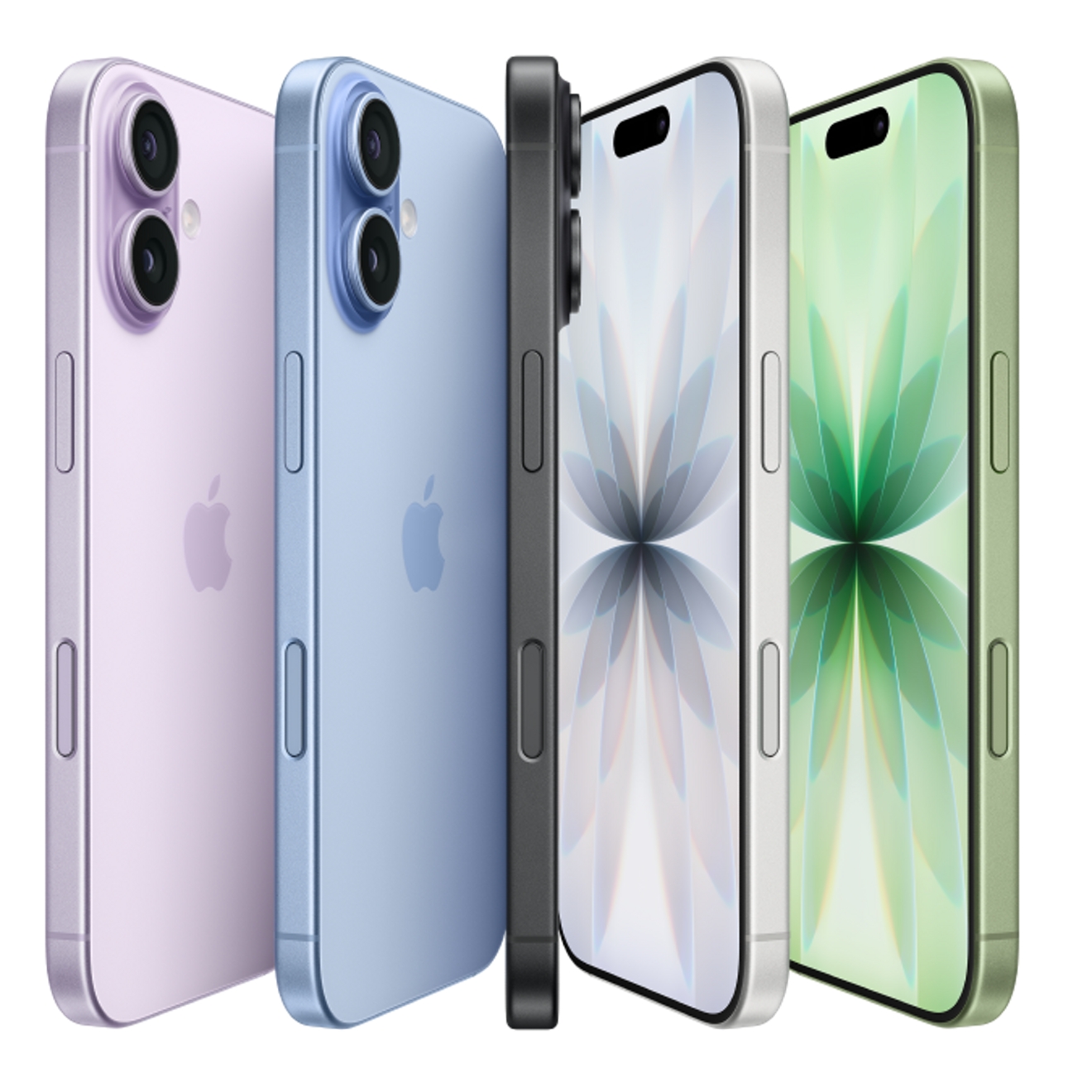 Four iPhones stand upright, showing differences in camera setups, finishes, and screen designs between standard and Pro models.