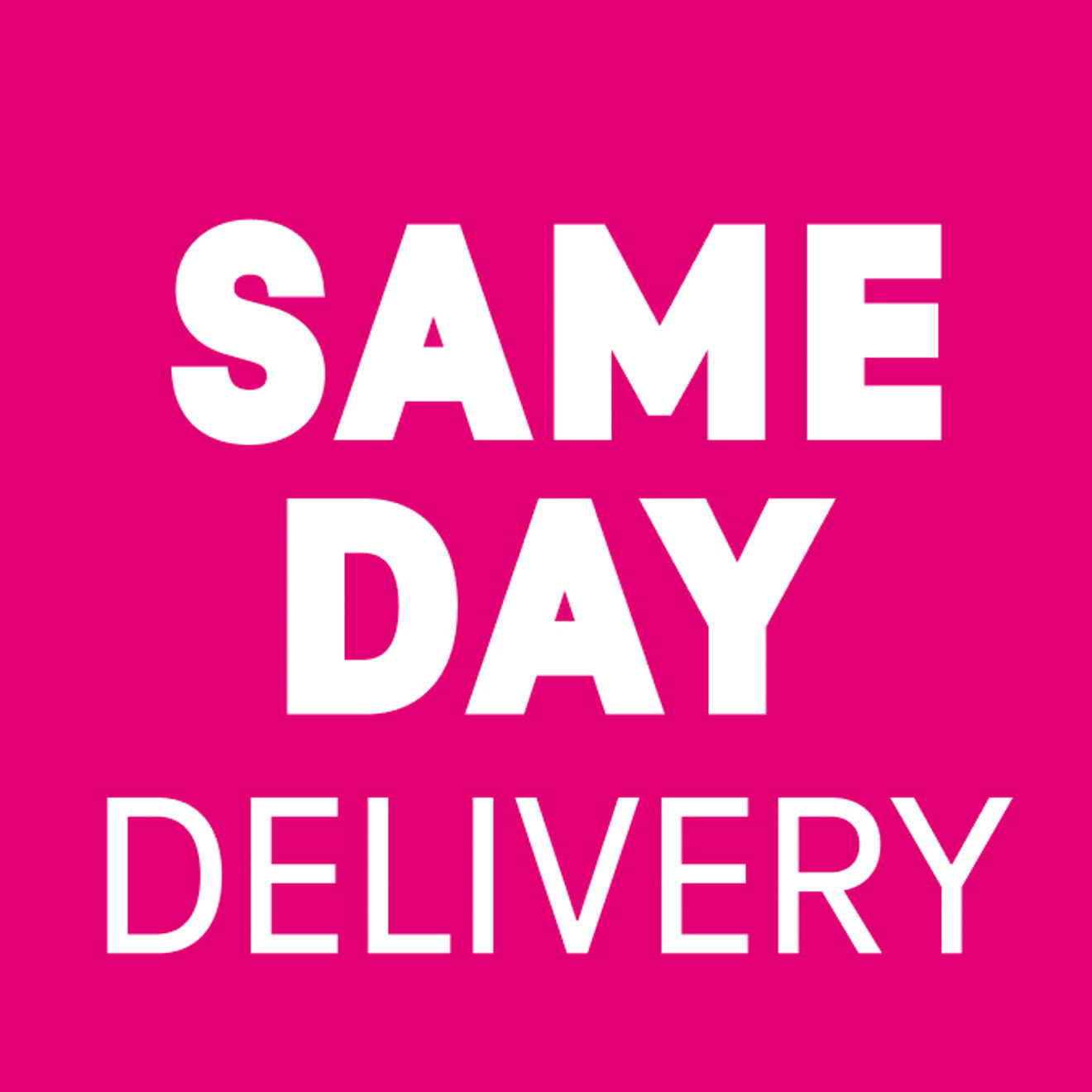 Magenta box that reads same-day delivery.